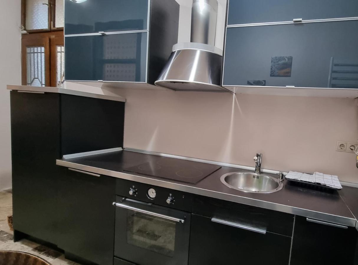Neuhausz Suite - Ultracentral Timişoara Extérieur photo