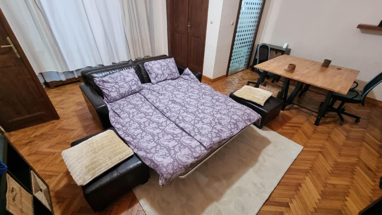 Neuhausz Suite - Ultracentral Timişoara Extérieur photo