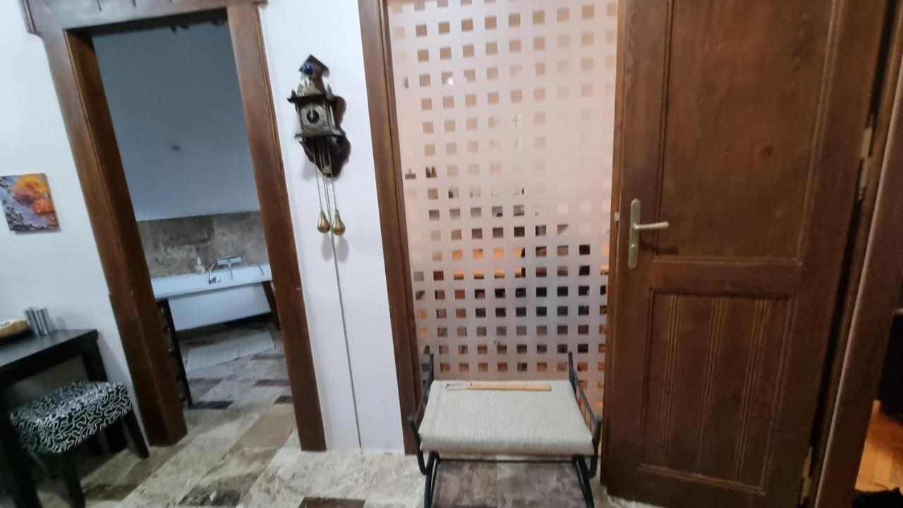 Neuhausz Suite - Ultracentral Timişoara Extérieur photo